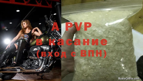 трава Аркадак