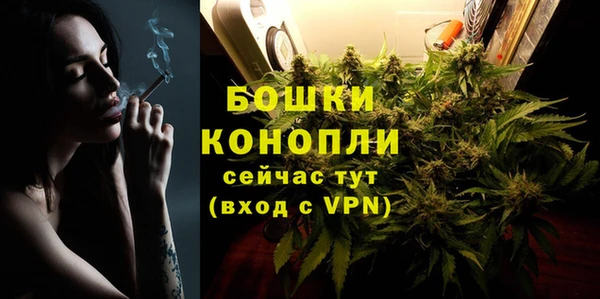 прущие грибы Пересвет