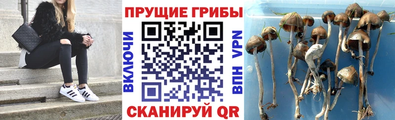 Псилоцибиновые грибы ЛСД  наркошоп  Похвистнево 