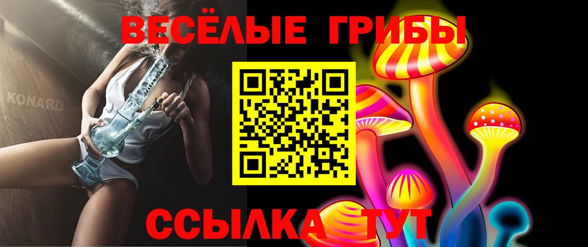 Галлюциногенные грибы Psilocybine cubensis  Псилоцибиновые грибы прущие грибы  Вход с VPN  Похвистнево 